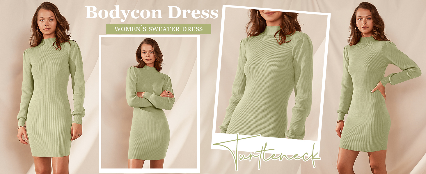 Women Turtleneck Long Sleeve Sweater Dress